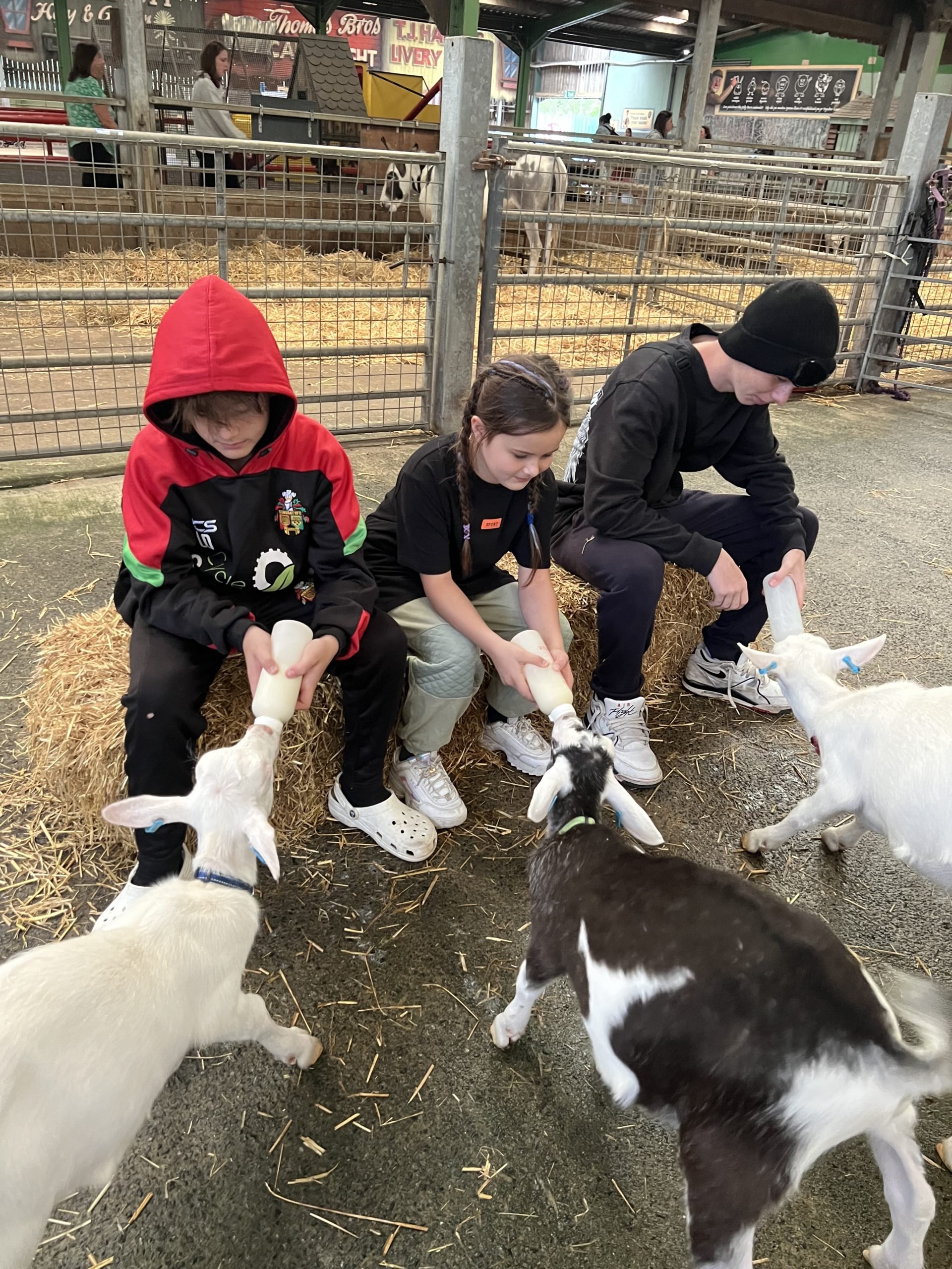 🍓 이즈미 만남 농업마을 (이즈미 후레아이 노노 사토) 이미지 9